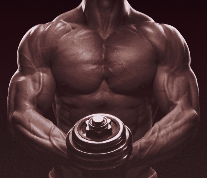 Emperor Fitness ZP v2 by Subliminal Club - Subliminal Fitness and Motivation Program